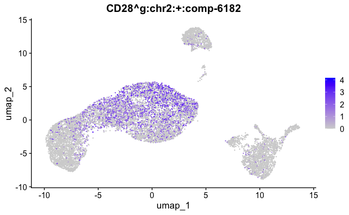 CD28