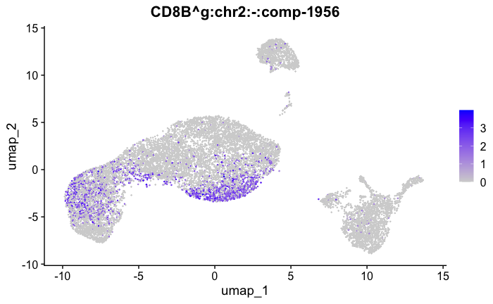 CD8B