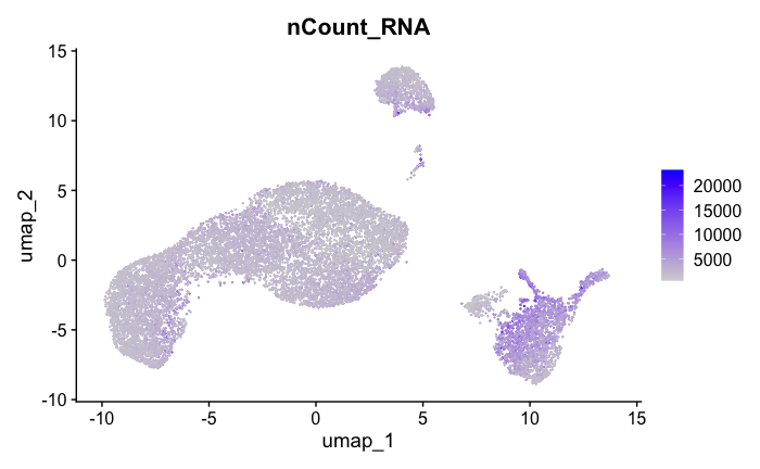 nFeature_RNA_FeaturePlot